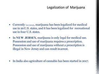  Currently (10/2015), marijuana has been legalized for medical
use in 20U.S. states, and it has been legalized for recreational
use in four U.S. states.
 In NEW JERSEY, marijuana is only legal for medical use.
Possession and use of marijuana requiresa prescription.
Possession and use of marijuana without a prescription is
illegal in New Jerseyand can result inarrest.
 In India also agriculture of cannabis has been started in 2017.
 