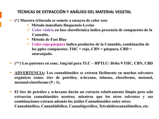 TÉCNICAS DE EXTRACCIÓN Y ANÁLISIS DEL MATERIAL VEGETAL 
 (*) Muestra triturada se somete a ensayos de color con: 
 Método inmediato Duquenois-Levine 
 Color violeta en fase clorofórmica indica presencia de compuestos de la 
Cannabis. 
 Método de Fast Blue 
 Color rojo-púrpura indica productos de la Cannabis, combinación de 
los pples compuestos: THC = rojo, CBN = púrpura, CBD = 
anaranjado. 
 (**) Los patrones en conc. 1mg/ml para TLC – HPTLC: Delta 9 THC, CBN, CBD 
 ADVERTENCIA: Los cannabinoides se extraen fácilmente en muchos solventes 
orgánicos como: éter de petróleo, n-hexano, tolueno, cloroformo, metanol, 
metanol-cloroformo (9 : 1). 
 El éter de petróleo y n-hexano darán un extracto relativamente limpio pero solo 
extraerán cannabinoides neutros; mientras que los otros solventes y sus 
combinaciones extraen además los ácidos Cannabinoides entre otros: 
Cannabinólico, Cannabidiólico, Cannabigerólico, Tetrahidrocannabinólico, etc. 
 
