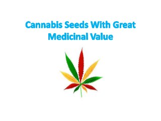 Cannabis Seeds With Great Medicinal Value