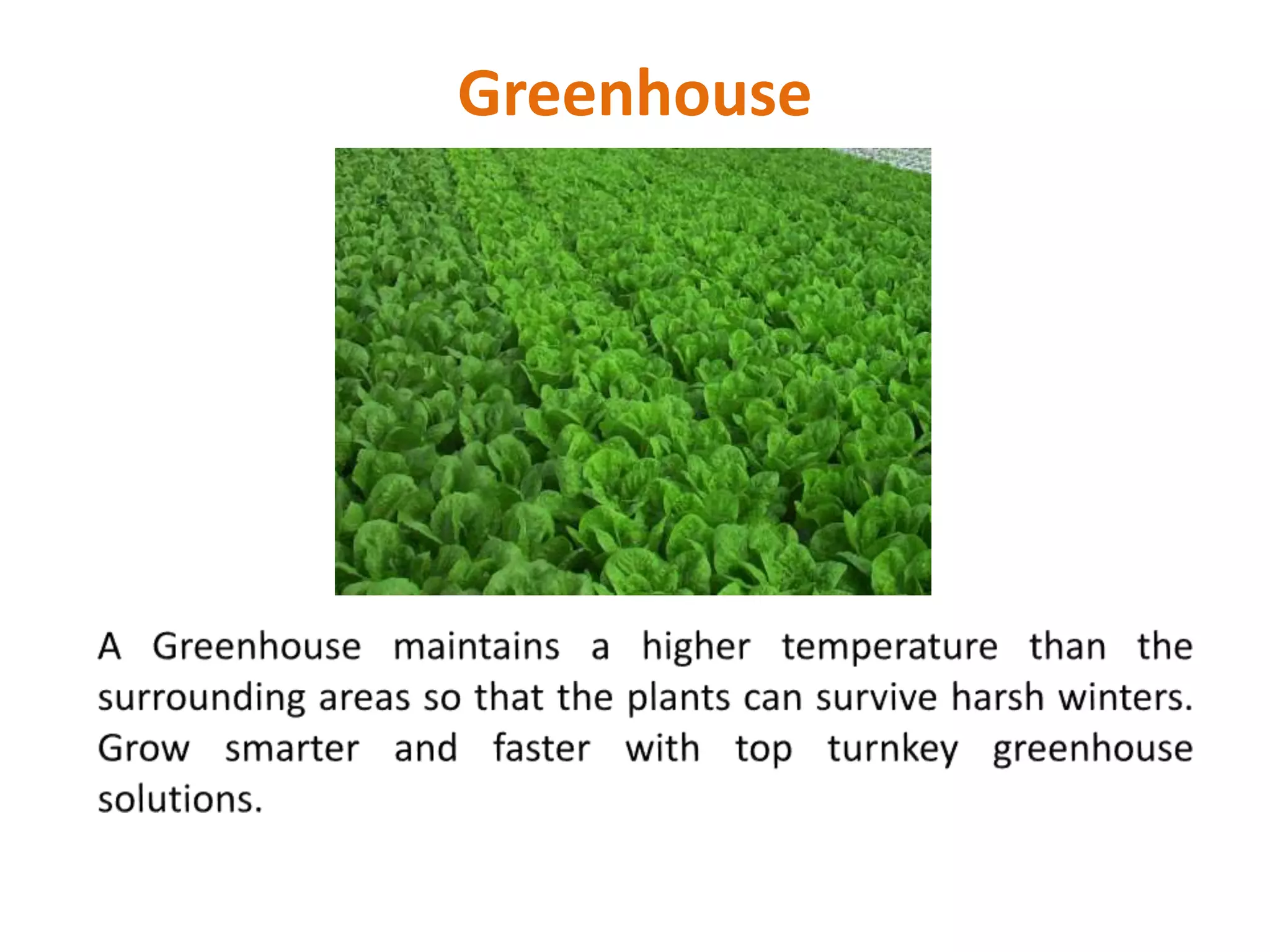 Greenhouse
 