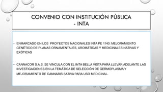 • ENMARCADO EN LOS PROYECTOS NACIONALES INTA PE 1140: MEJORAMIENTO
GENÉTICO DE PLANAS ORNAMENTALES, AROMÁTICAS Y MEDICINALES NATIVAS Y
EXÓTICAS
• CANNACOR S.A.S. SE VINCULA CON EL INTA BELLA VISTA PARA LLEVAR ADELANTE LAS
INVESTIGACIONES EN LA TEMÁTICA DE SELECCIÓN DE GERMOPLASMA Y
MEJORAMIENTO DE CANNABIS SATIVA PARA USO MEDICINAL.
 