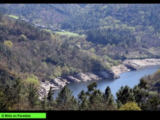O Miño en Paradela
 