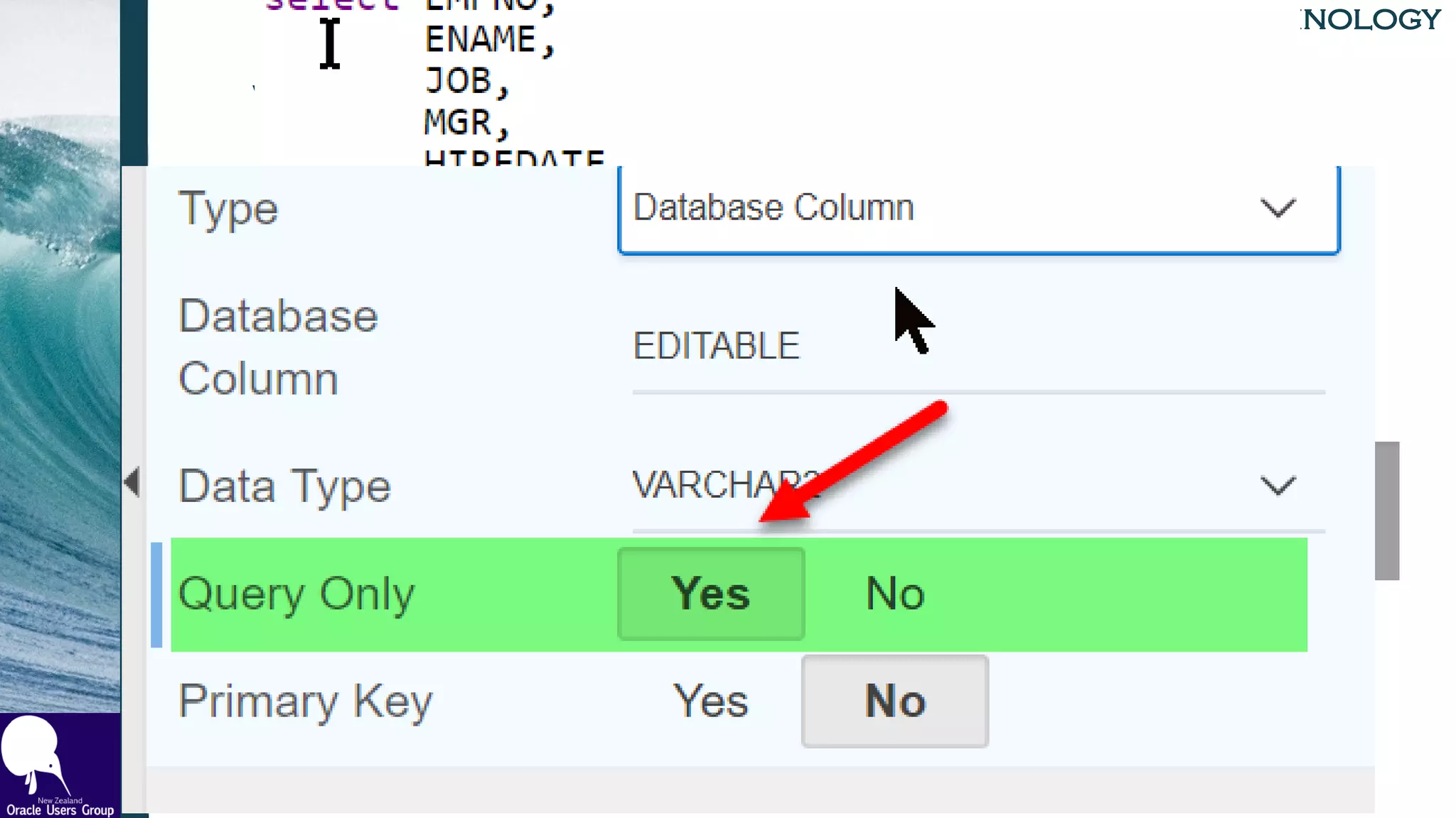 TH TechnologyTH Technology
What Is Editable
Columns
• Display Only
Rows
• Allowed Row Operations
• Set Column to Control Which Rows
Are Editable
• ‘U’ or ‘UD’ or NULL
 