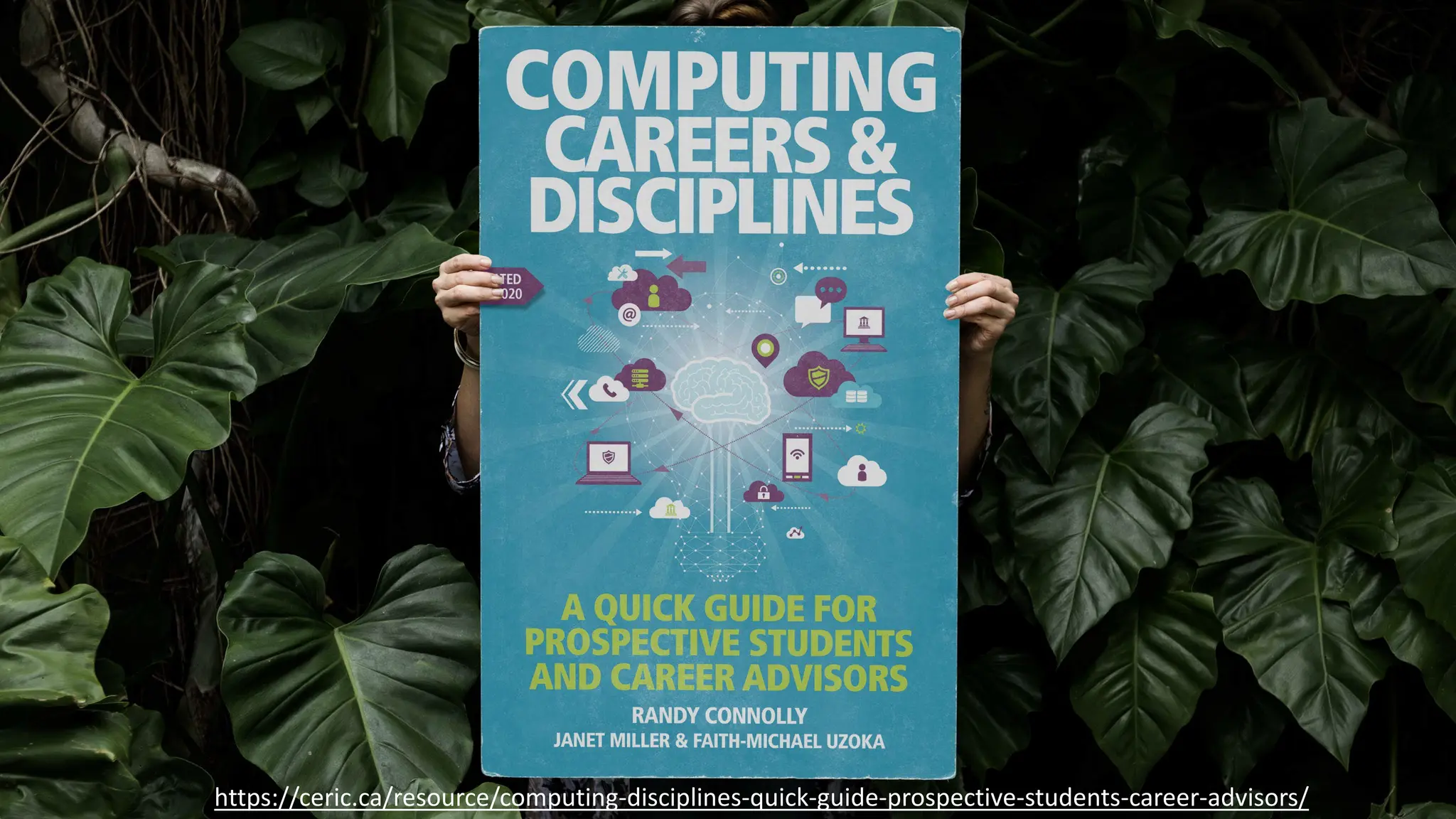 https://ceric.ca/resource/computing-disciplines-quick-guide-prospective-students-career-advisors/
 