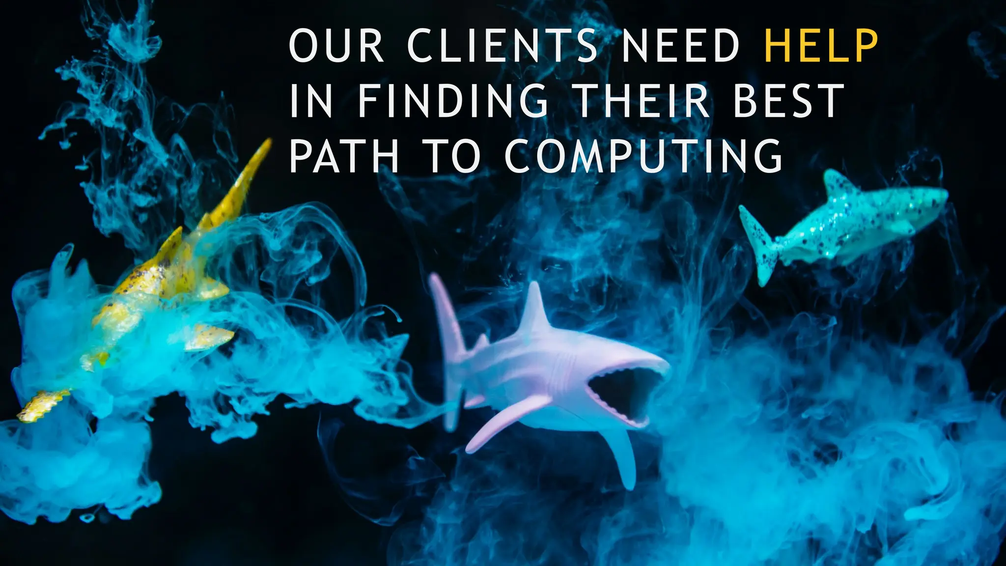 OUR CLIENTS NEED HELP
IN FINDING THEIR BEST
PATH TO COMPUTING
 
