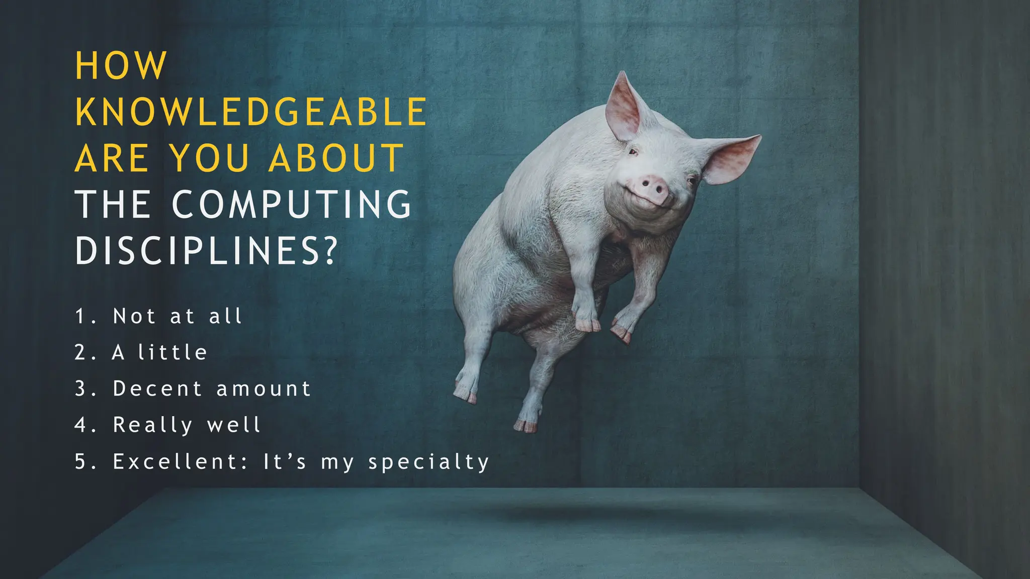 HOW
KNOWLEDGEABLE
ARE YOU ABOUT
THE COMPUTING
DISCIPLINES?
1 . N o t a t a l l
2 . A l i t t l e
3 . D e c e n t a m o u n t
4 . R e a l l y w e l l
5 . E x c e l l e n t : I t ’s m y s p e c i a l t y
 