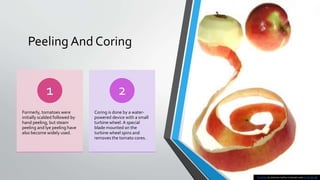 Peeling And Coring
Formerly, tomatoes were
initially scalded followed by
hand peeling, but steam
peeling and lye peeling have
also become widely used.
1
Coring is done by a water-
powered device with a small
turbine wheel. A special
blade mounted on the
turbine wheel spins and
removes the tomato cores.
2
This Photo by Unknown Author is licensed under CC BY-NC-ND
 