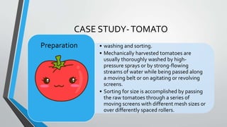 CASE STUDY-TOMATO
• washing and sorting.
• Mechanically harvested tomatoes are
usually thoroughly washed by high-
pressure sprays or by strong-flowing
streams of water while being passed along
a moving belt or on agitating or revolving
screens.
• Sorting for size is accomplished by passing
the raw tomatoes through a series of
moving screens with different mesh sizes or
over differently spaced rollers.
Preparation
 