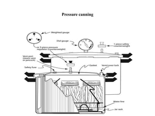 canning process in technology of processed food | PDF