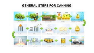 canning final (1).pptx