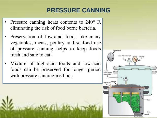 canning process