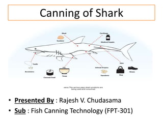 Canning of Shark
• Presented By : Rajesh V. Chudasama
• Sub : Fish Canning Technology (FPT-301)
 