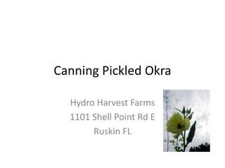 Canning Pickled Okra

  Hydro Harvest Farms
  1101 Shell Point Rd E
       Ruskin FL
 
