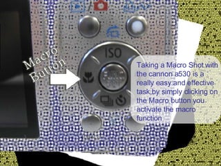 Taking a Macro Shot with the cannon a530 is a really easy and effective task,by simply clicking on the Macro button you activate the macro function 