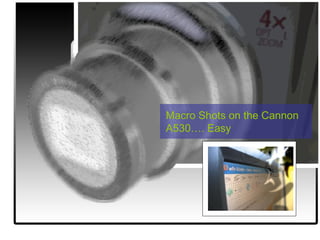 Macro Shots on the Cannon A530…. Easy 