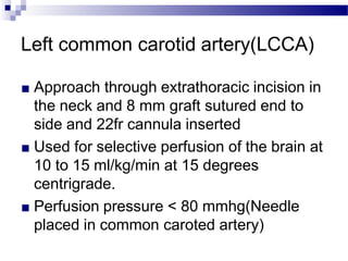Left common carotid artery(LCCA)
■ Approach through extrathoracic incision in
the neck and 8 mm graft sutured end to
side and 22fr cannula inserted
■ Used for selective perfusion of the brain at
10 to 15 ml/kg/min at 15 degrees
centrigrade.
■ Perfusion pressure < 80 mmhg(Needle
placed in common caroted artery)
 