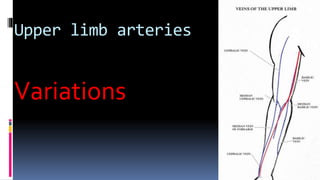 Upper limb arteries
Variations
 