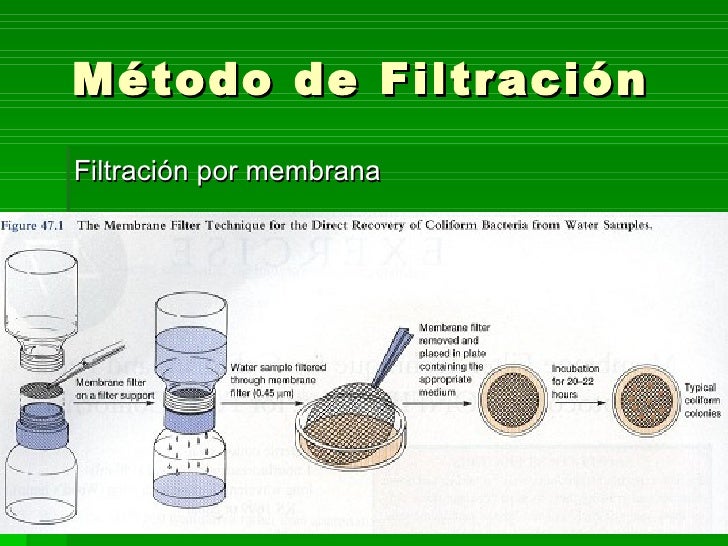 Analisis Bacteriologico