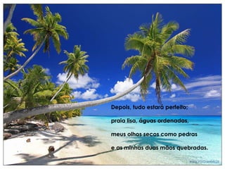 Depois, tudo estará perfeito; praia lisa, águas ordenadas, meus olhos secos como pedras e as minhas duas mãos quebradas . 