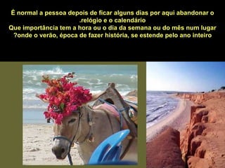 É normal a pessoa depois de ficar alguns dias por aqui abandonar o relógio e o calendário. Que importância tem a hora ou o dia da semana ou do mês num lugar onde o verão, época de fazer história, se estende pelo ano inteiro?   