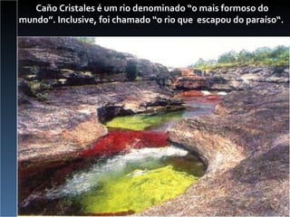 Caño Cristales é um rio denominado “o mais formoso do mundo”. Inclusive, foi chamado “o rio que  escapou do paraíso“.   