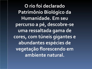 O rio foi declarado Patrimônio Biológico da Humanidade. Em seu percurso a pé, descobre-se uma ressaltada gama de cores, com túneis gigantes e abundantes espécies de vegetação florescendo em ambiente natural. 
