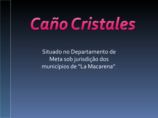 Situado no Departamento de Meta sob jurisdição dos municípios de “La Macarena” . 