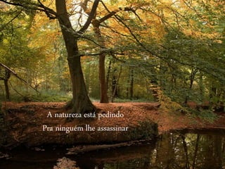 A natureza está pedindo
Pra ninguém lhe assassinar
 