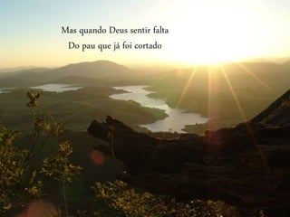 Mas quando Deus sentir falta
Do pau que já foi cortado
 