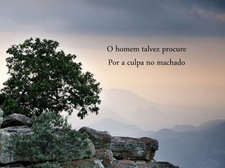 O homem talvez procure
Por a culpa no machado
 