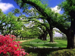 Vamos cuidar com carinho
Do que Deus fez com amor
 