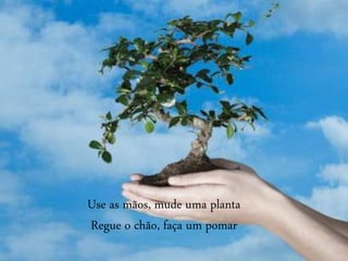 Use as mãos, mude uma planta
Regue o chão, faça um pomar
 