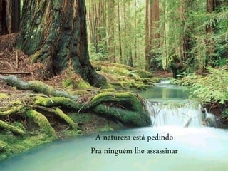 A natureza está pedindo
Pra ninguém lhe assassinar
 