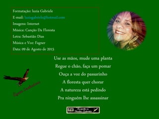 Use as mãos, mude uma planta
Regue o chão, faça um pomar
Ouça a voz do passarinho
A floresta quer chorar
A natureza está pedindo
Pra ninguém lhe assassinar
Formatação: luzia Gabriele
E-mail: luziagabriele@hotmail.com
Imagens: Internet
Música: Canção Da Floresta
Letra: Sebastião Dias
Música e Voz: Fagner
Data: 09 de Agosto de 2015
 