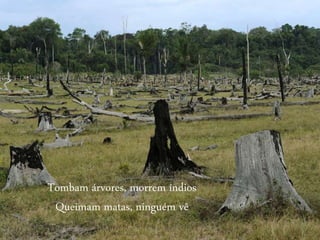 Tombam árvores, morrem índios
Queimam matas, ninguém vê
 
