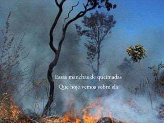 Essas manchas de queimadas
Que hoje vemos sobre ela
 