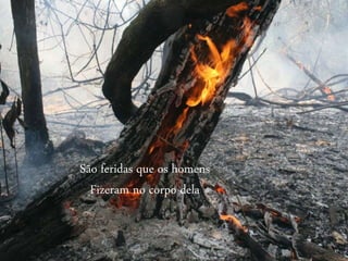 São feridas que os homens
Fizeram no corpo dela
 