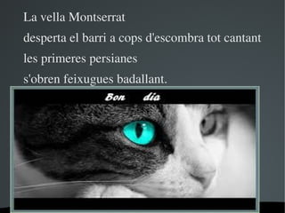 La vella Montserrat
desperta el barri a cops d'escombra tot cantant
les primeres persianes
s'obren feixugues badallant.


...