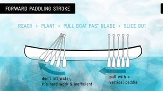 Canoeing 101: basic canoe strokes & paddle safety
