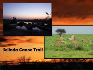 Selinda Canoe Trail
 
