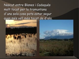 Nascut entre Blanes i Cadaqués
molt tocat per la tramuntana
d'una sola cosa pots estar segur
quan més vell més tocat de d'...