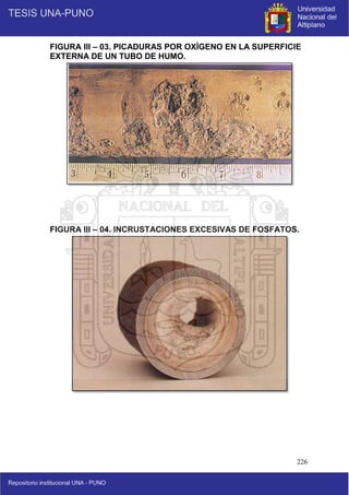 226
FIGURA III – 03. PICADURAS POR OXÍGENO EN LA SUPERFICIE
EXTERNA DE UN TUBO DE HUMO.
FIGURA III – 04. INCRUSTACIONES EXCESIVAS DE FOSFATOS.
 