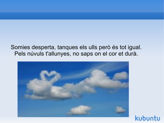 Somies desperta, tanques els ulls però és tot igual.
 Pels núvuls t'allunyes, no saps on el cor et durà.
 