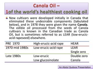 Canola Oil –1of the world’s healthiest cooking oilAn Abdul Qudoos Presentation