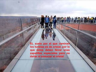 EL suelo por el que caminan los turistas es de cristal, por lo que éstos deben llevar unas zapatillas especiales para no dañar ni ensuciar el cristal 
