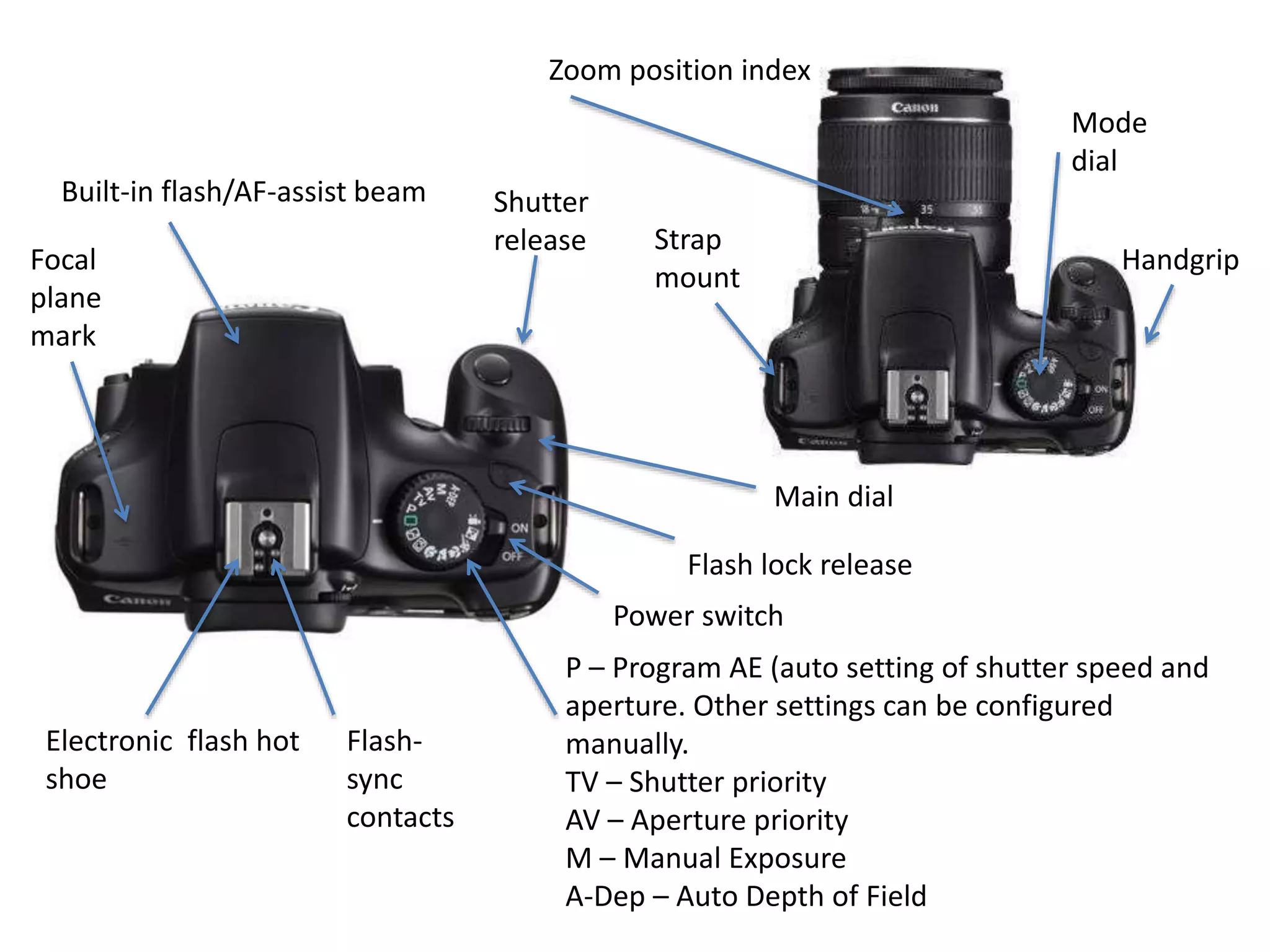 Electronic flash hot
shoe
Mode
dial
Shutter
release
Flash lock release
Main dial
Handgrip
P – Program AE (auto setting of shutter speed and
aperture. Other settings can be configured
manually.
TV – Shutter priority
AV – Aperture priority
M – Manual Exposure
A-Dep – Auto Depth of Field
Built-in flash/AF-assist beam
Strap
mount
Focal
plane
mark
Flash-
sync
contacts
Zoom position index
Power switch
 