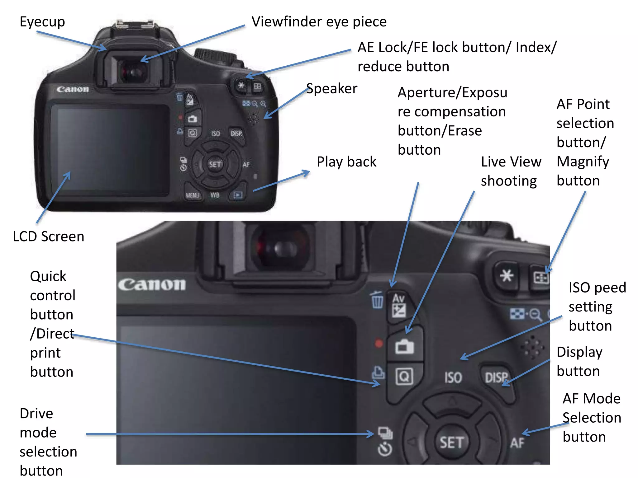 LCD Screen
Aperture/Exposu
re compensation
button/Erase
button
Play back
AF Point
selection
button/
Magnify
button
Viewfinder eye piece
Live View
shooting
Quick
control
button
/Direct
print
button
Drive
mode
selection
button
ISO peed
setting
button
AF Mode
Selection
button
Display
button
Speaker
Eyecup
AE Lock/FE lock button/ Index/
reduce button
 