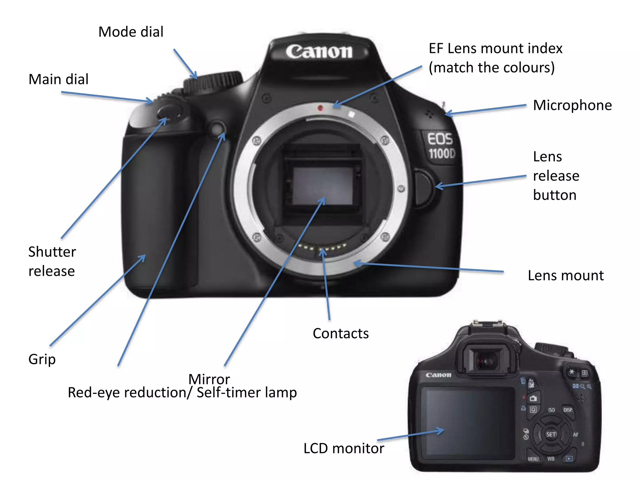 Mode dial
Shutter
release
Lens
release
button
LCD monitor
EF Lens mount index
(match the colours)
Mirror
Main dial
Red-eye reduction/ Self-timer lamp
Lens mount
Grip
Microphone
Contacts
 