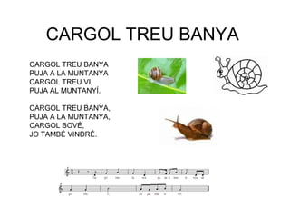 CARGOL TREU BANYA
CARGOL TREU BANYA
PUJA A LA MUNTANYA
CARGOL TREU VI,
PUJA AL MUNTANYÍ.

CARGOL TREU BANYA,
PUJA A LA MUNTANYA,
CARGOL BOVÉ,
JO TAMBÉ VINDRÉ.
 