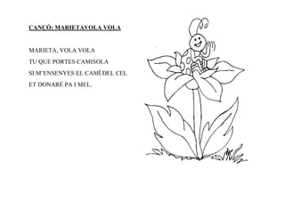 CANÇÓ: MARIETAVOLA VOLA


MARIETA, VOLA VOLA
TU QUE PORTES CAMISOLA
SI M’ENSENYES EL CAMÍ DEL CEL
ET DONARÉ PA I MEL.
 